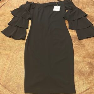 Brand new Black dress with ruffled sleeves